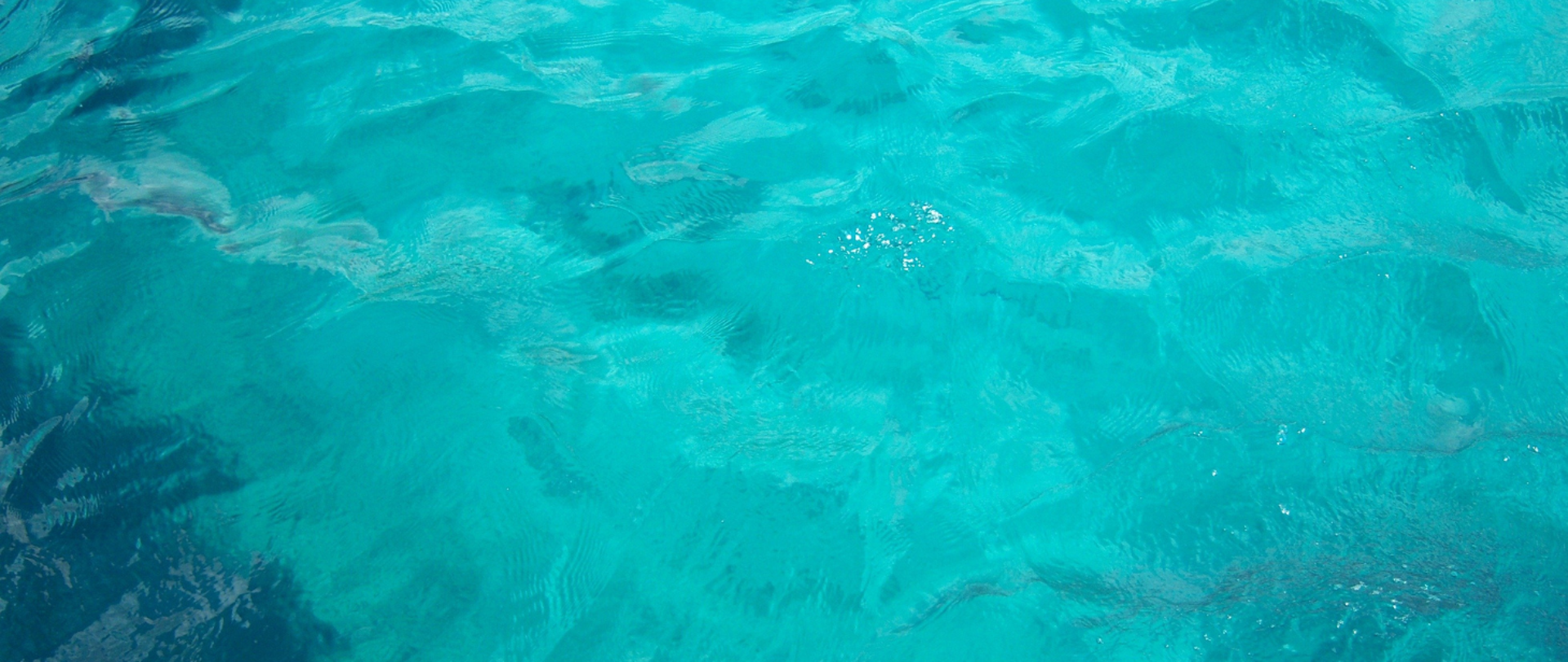 woda w kolorze szmaragdowym