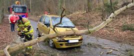 Przewrócone drzewo na samochód osobowy w m. Klony