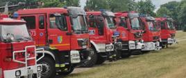 Na zdjęciu samochody pożarnicze zaparkowane na łące w tle drzewa.