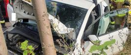 Biały samochód osobowy uderzył przodem w drzewo, uszkodzony przód, otwarte lewe i praw drzwi, w koło kilu stojących strażaków