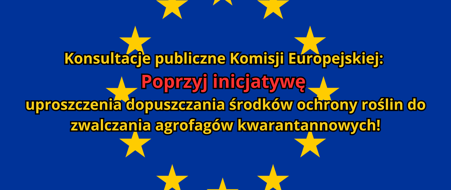 Konsultacje publiczne Komisji Europejskiej
