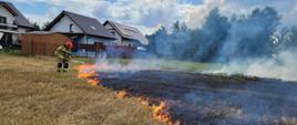 Strażak gaszący ściernisko tłumicą w tle 3 domy mieszkalne i mały lasek.