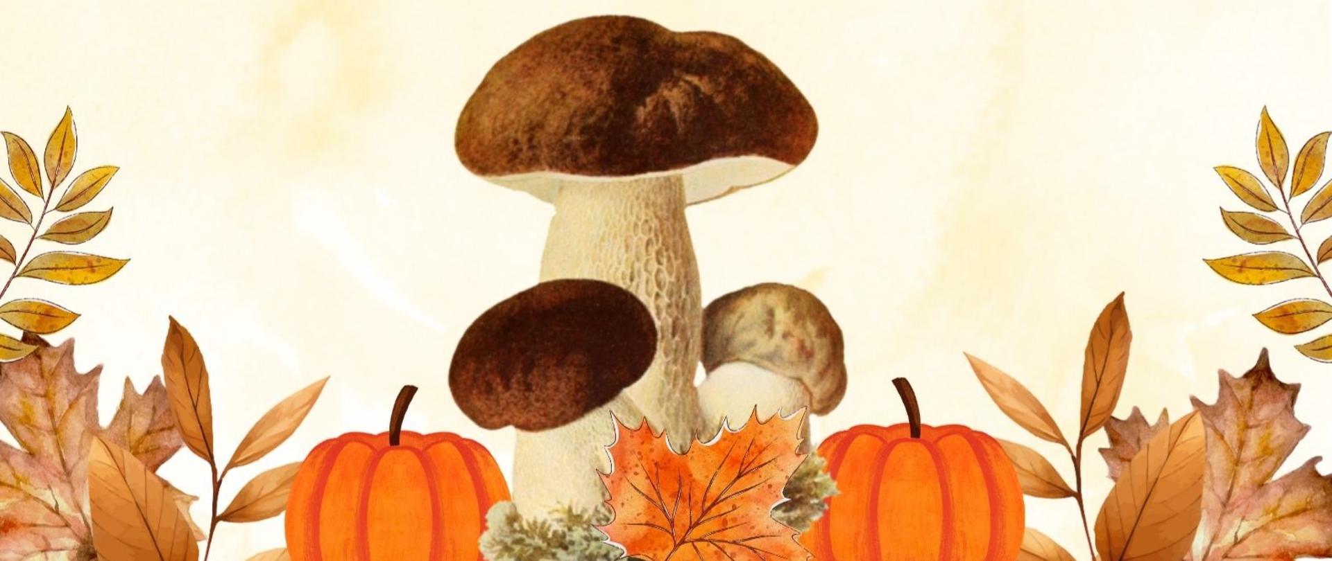 Wystawa_grzybów_2025_plakat