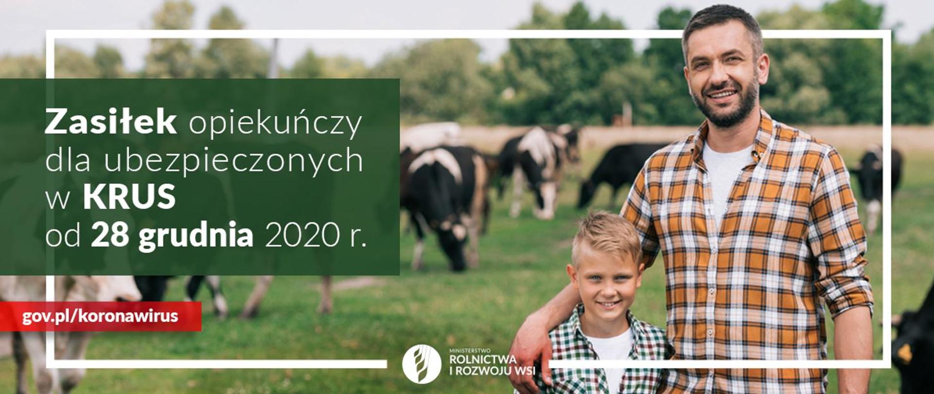 Ojciec z synem, a w tle zielona łąka i krowy.