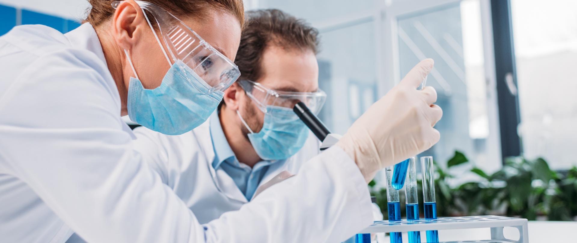 rośliny otrzymywane na drodze NGTs