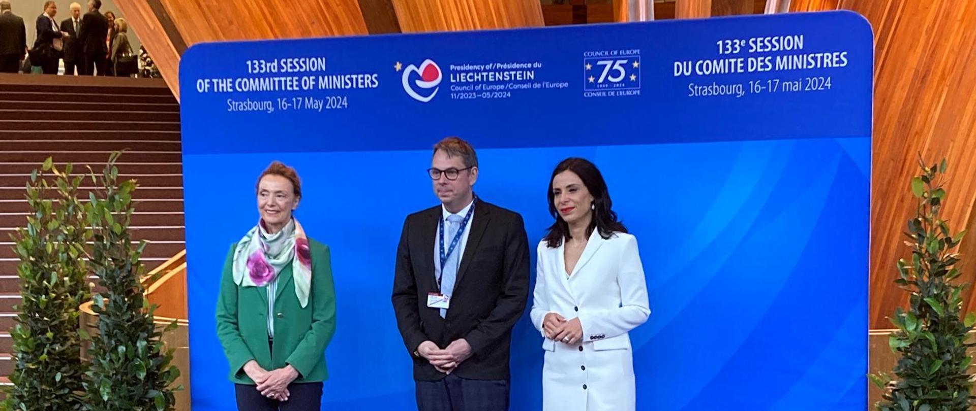 Minister J. Wisniewski during the 133rd session of the Committee of Ministers of the Council of Europe.