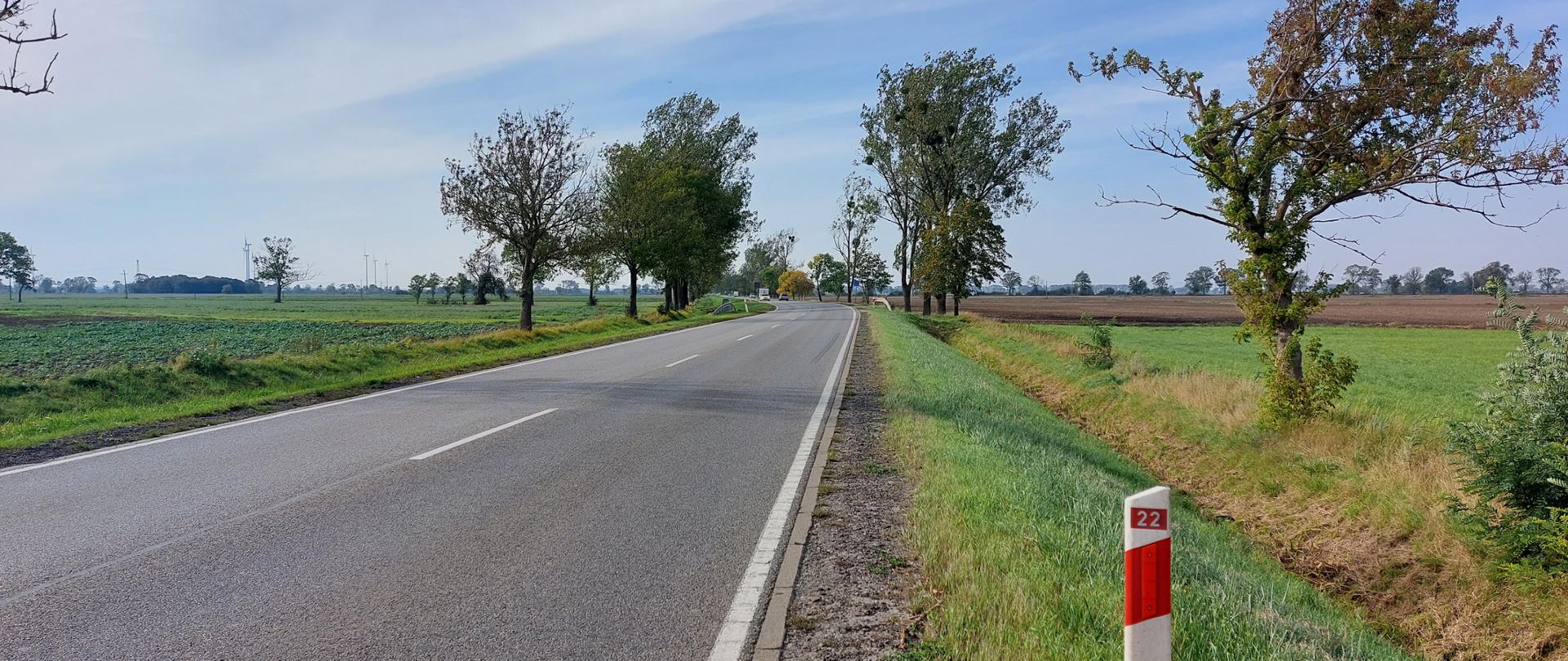 DK22 w rejonie miejscowości Cisy