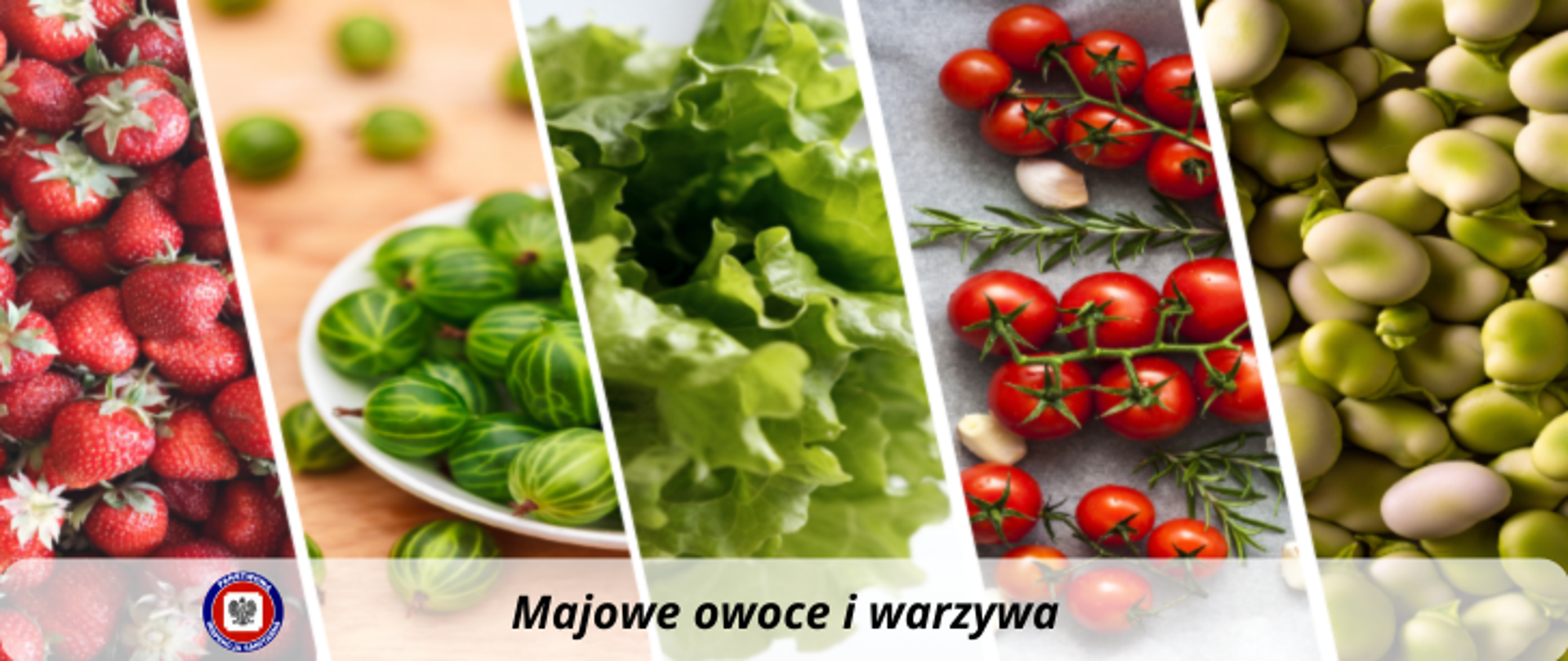 Kolarz pięciu grafik, od lewej truskawki, agrest, sałata, pomidorki, bób. Poniżej na jasnym, półprzezroczystym pasku ciemny napis Majowe owoce i warzywa. Po jego lewej stronie logo Państwowej Inspekcji Sanitarnej.