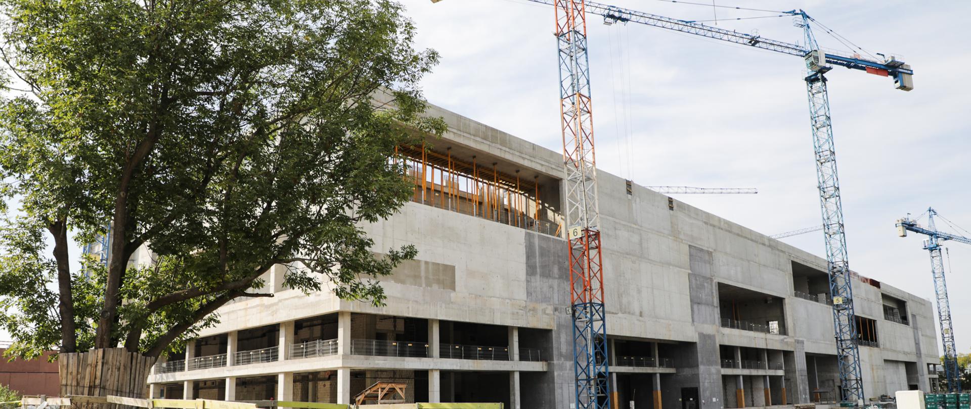 Coraz bliżej stałej siedziby Muzeum Historii Polski, fot. Danuta Matloch