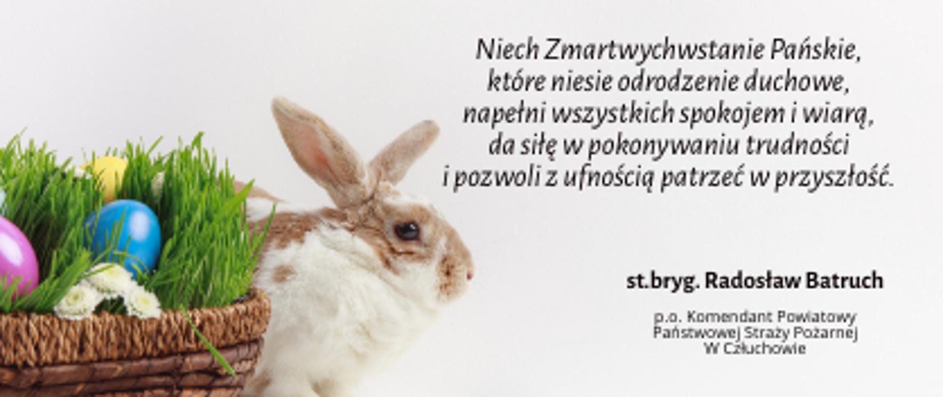 Zdjęcie przedstawia koszyk z pisankami oraz króliczka. Widoczny jest napis:" Niech Zmartwychwstanie Pańskie, które niesie odrodzenie duchowe, napełni wszystkich spokojem i wiarą, da siłę w pokonywaniu trudności i pozwoli z ufnością patrzeć w przyszłość. st.bryg. Radosław Batruch p.o. Komendant Powiatowy Państwowej Straży Pożarnej w Człuchowie".