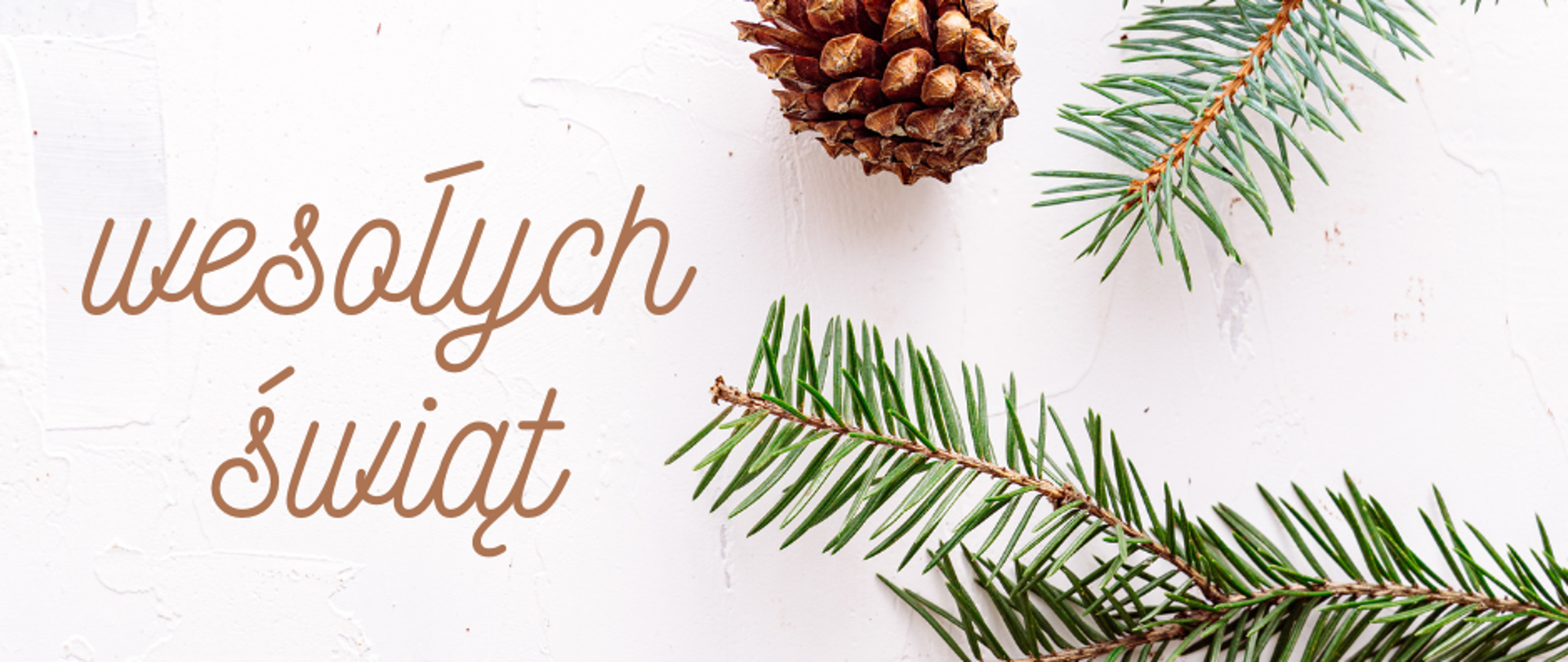 Na zdjęciu znajdują się świąteczne życzenia gałązka choinki i szyszka 