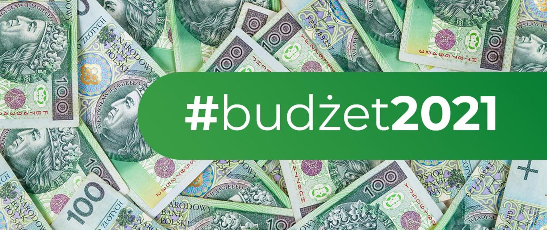 Napis budżet 2021 na zielonym pasku. W tle banknoty stuzłotowe