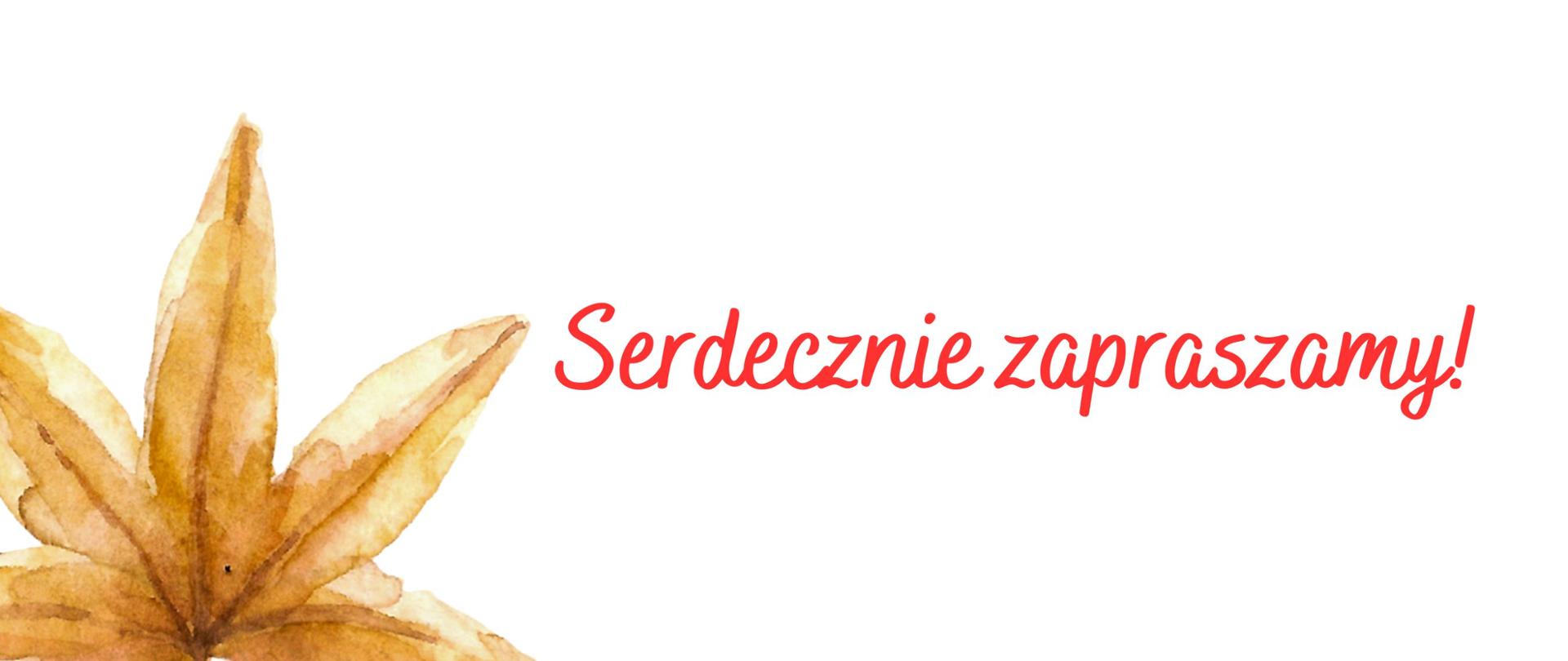 Białe tło, pomarańczowe liście, zaproszenie na koncerty