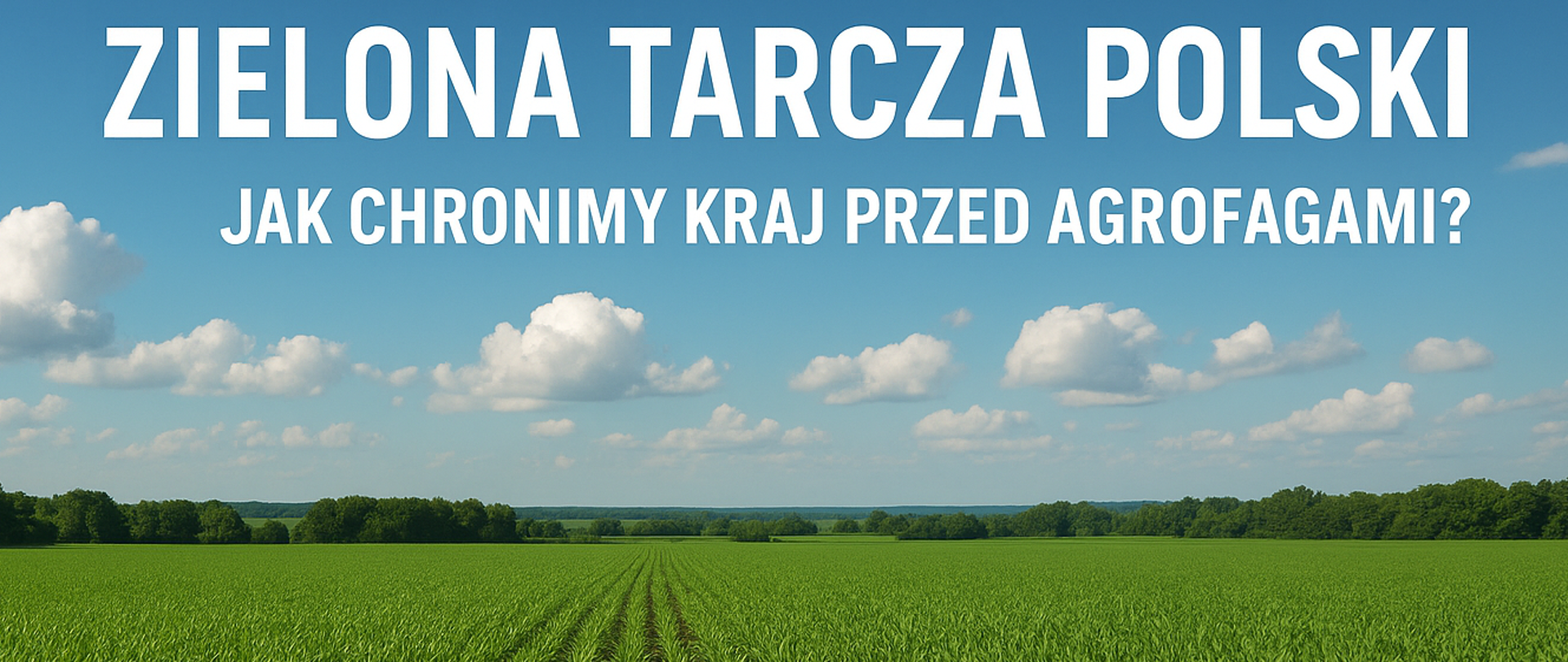 Zdjęcie przedstawia pole zapełnione zielonymi roślinami oraz błękitne niebo z kilkoma białymi chmurami. Na niebie jest biały napis "Zielona tarcza Polski. Jak chronimy kraj przed agrofagami?"