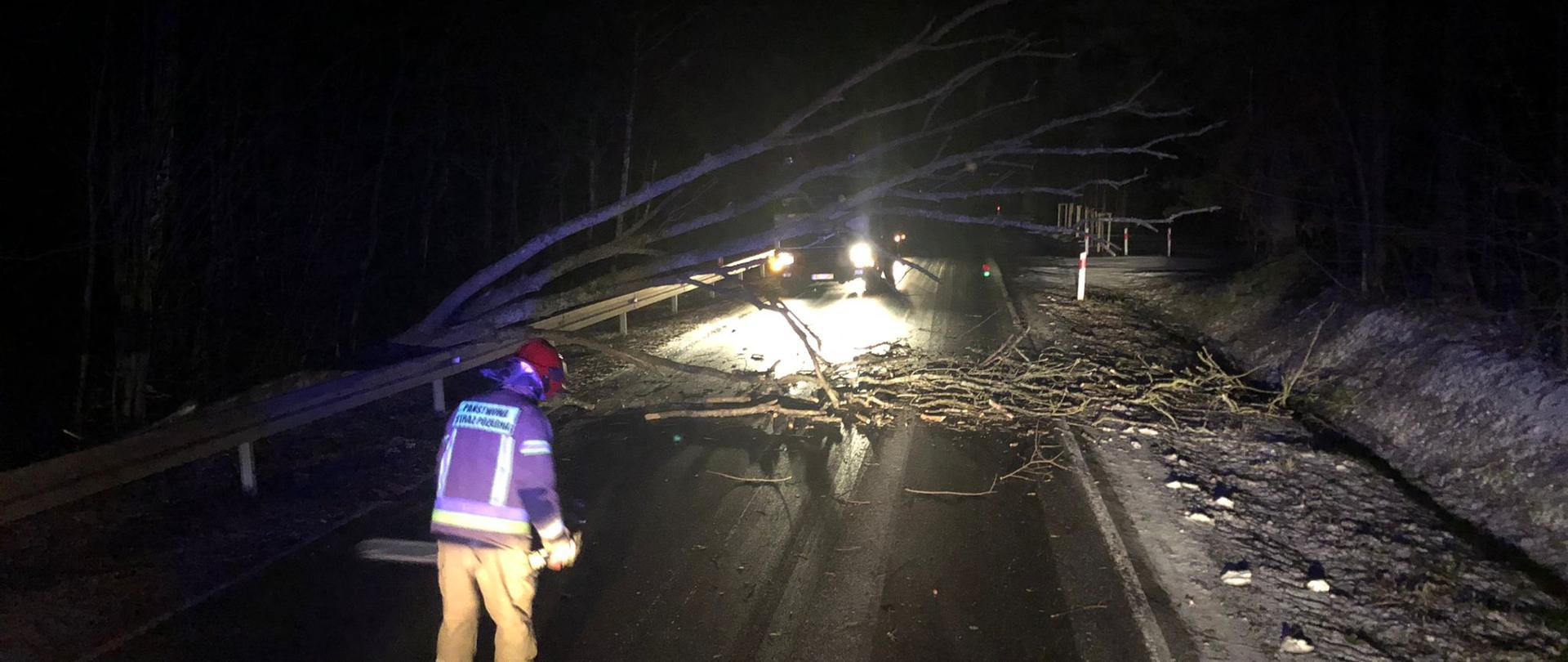 Silne wiatry - powalone drzewo