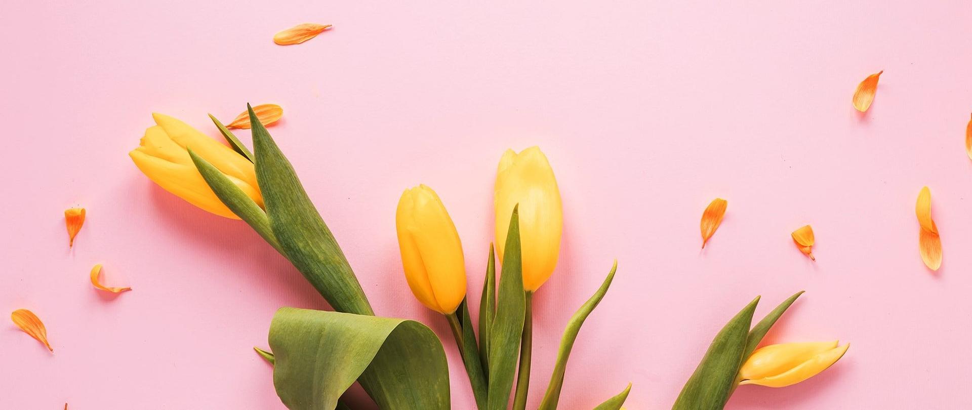 Dzień Kobiet 8 Marca