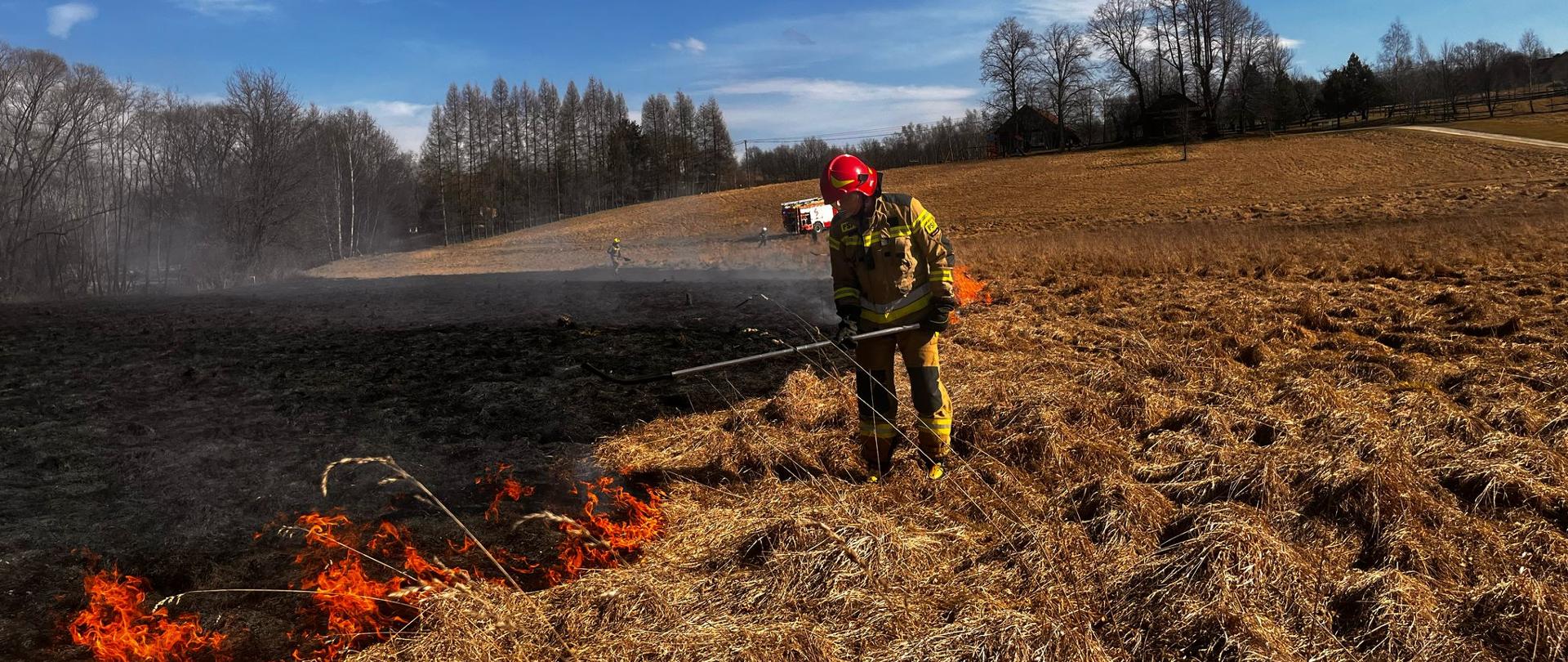Pożar traw w m. Krzyszkowice