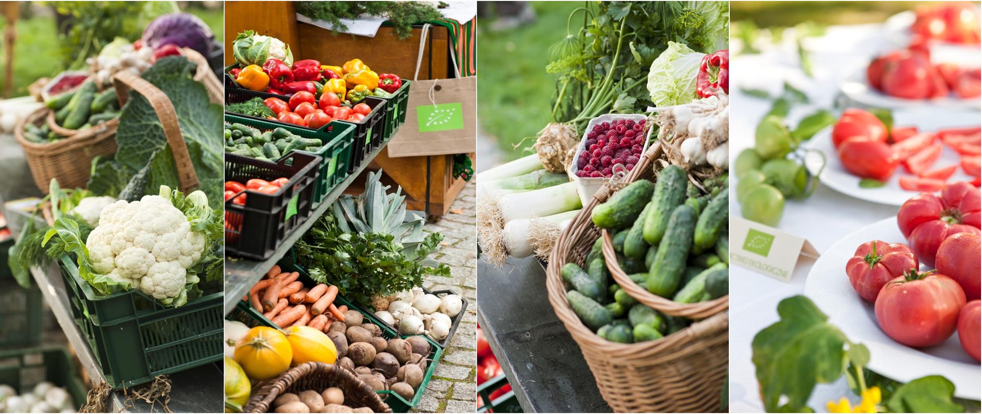 Fot. Żywność ekologiczna