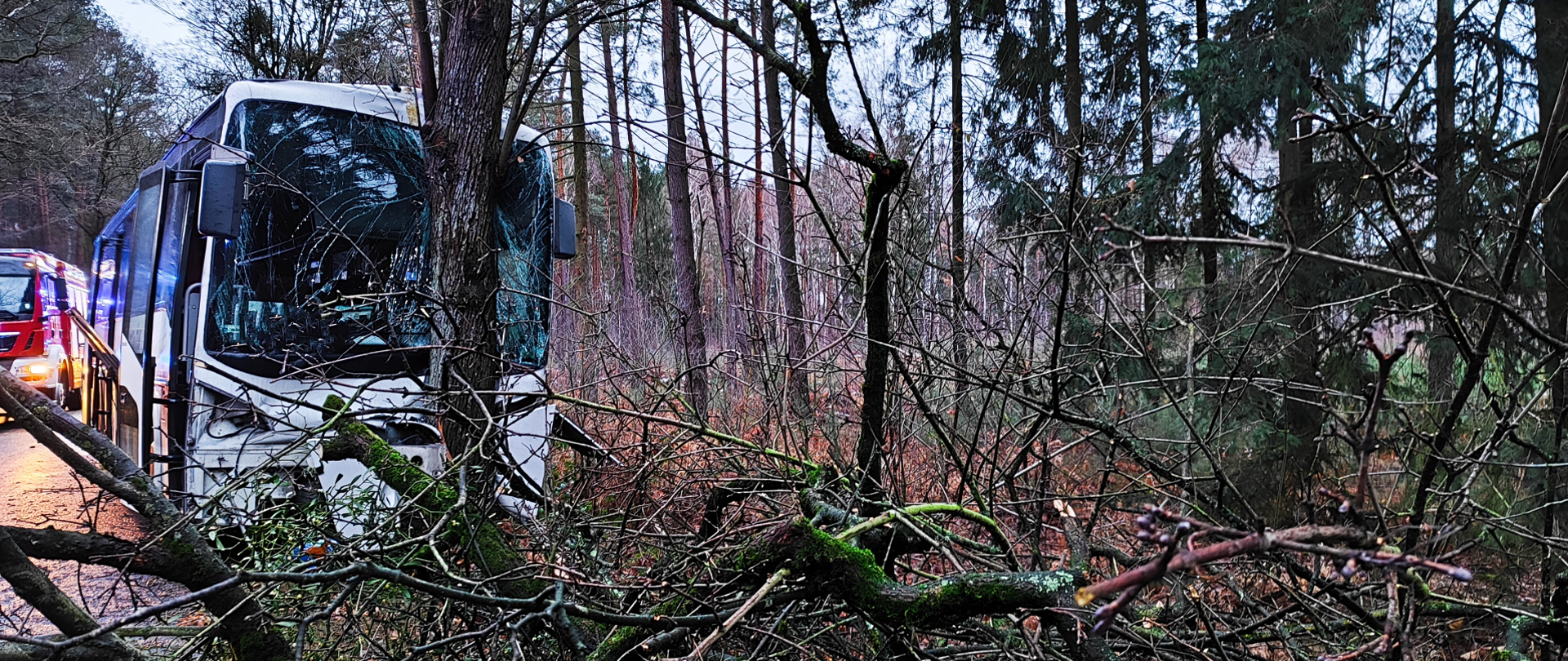 Na zdjęciu widać uszkodzony autobus który uderzył w przydrożne drzewo
