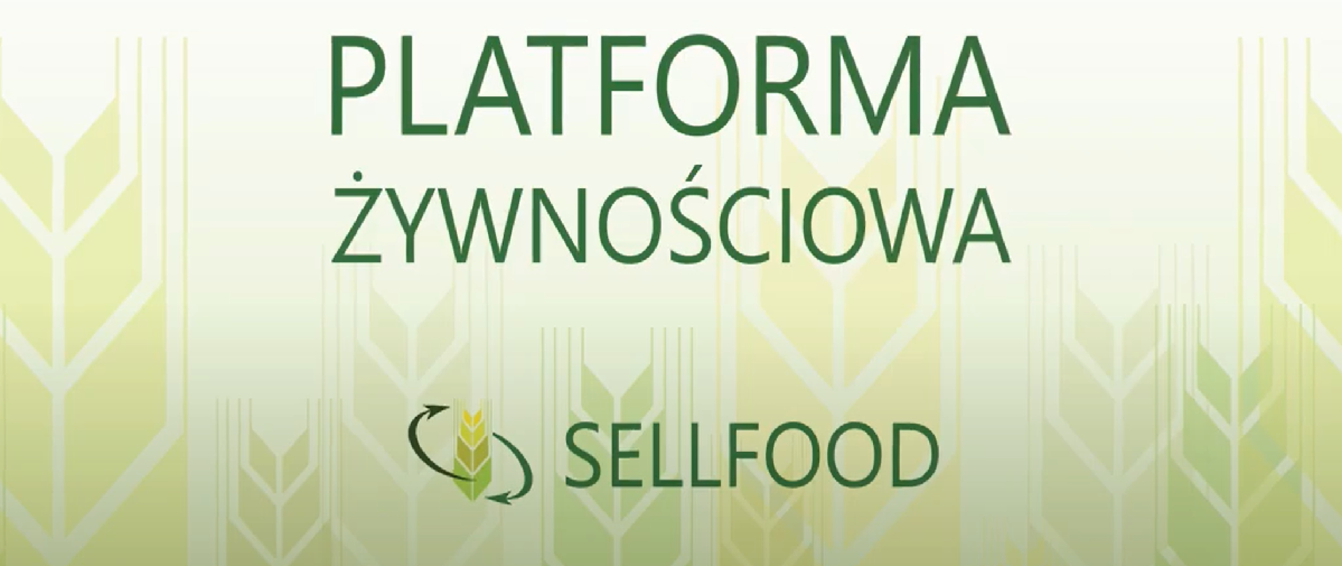 Pozioma plansza z zielonym napisem drukowanymi literami: Platforma Żywnościowa Sellfood. Jasnozielone tło z graficznie wyobrażonymi kłosami zboża.