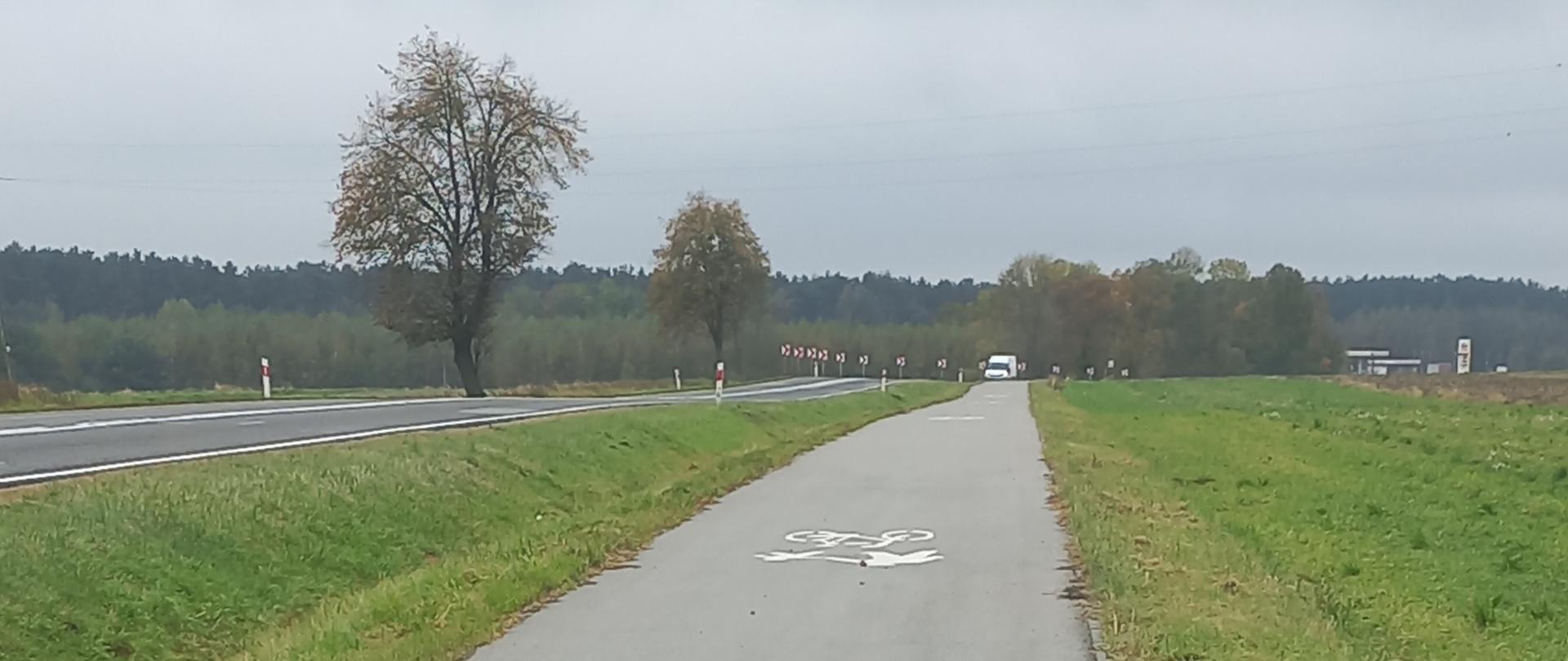 DK78 ciąg pieszo-rowerowy - asfaltowa ścieżka rowerowa oddzielona pasem trawnika od drogi dla samochodów 