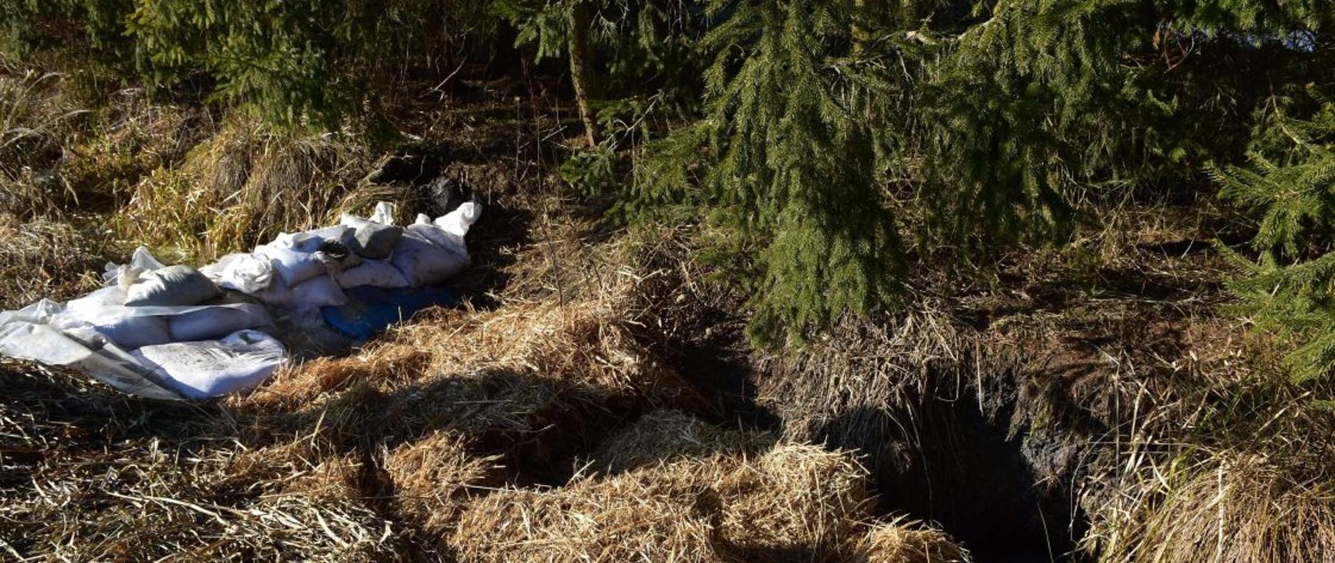 Worki i słoma zabezpieczające rów przed zanieczyszczeniem 