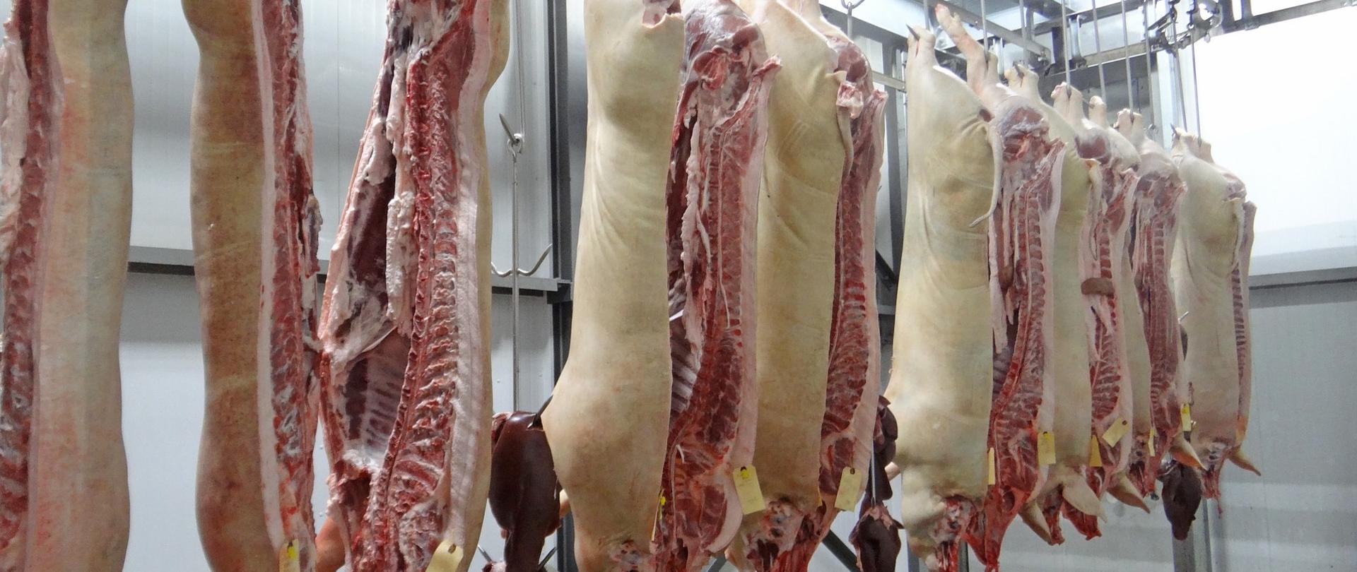 Półtusze wieprzowe