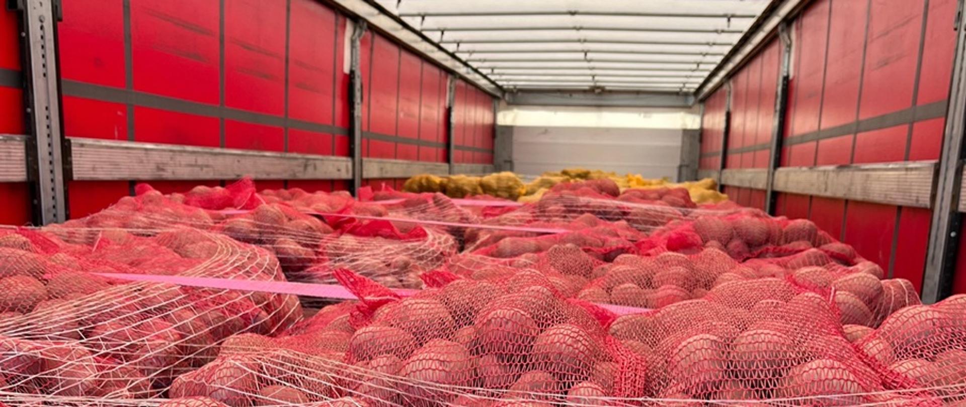 Ciężarówka wypełniona ziemniakami, podczas transportu.