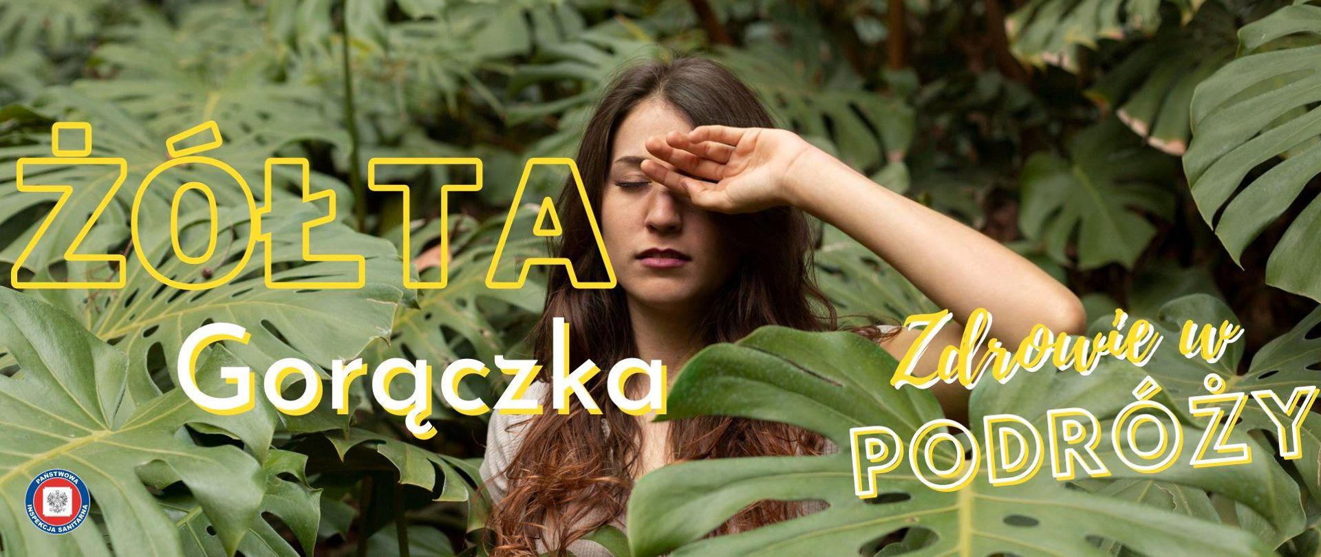 osoba stojąca w dżungli pomiędzy liśćmi