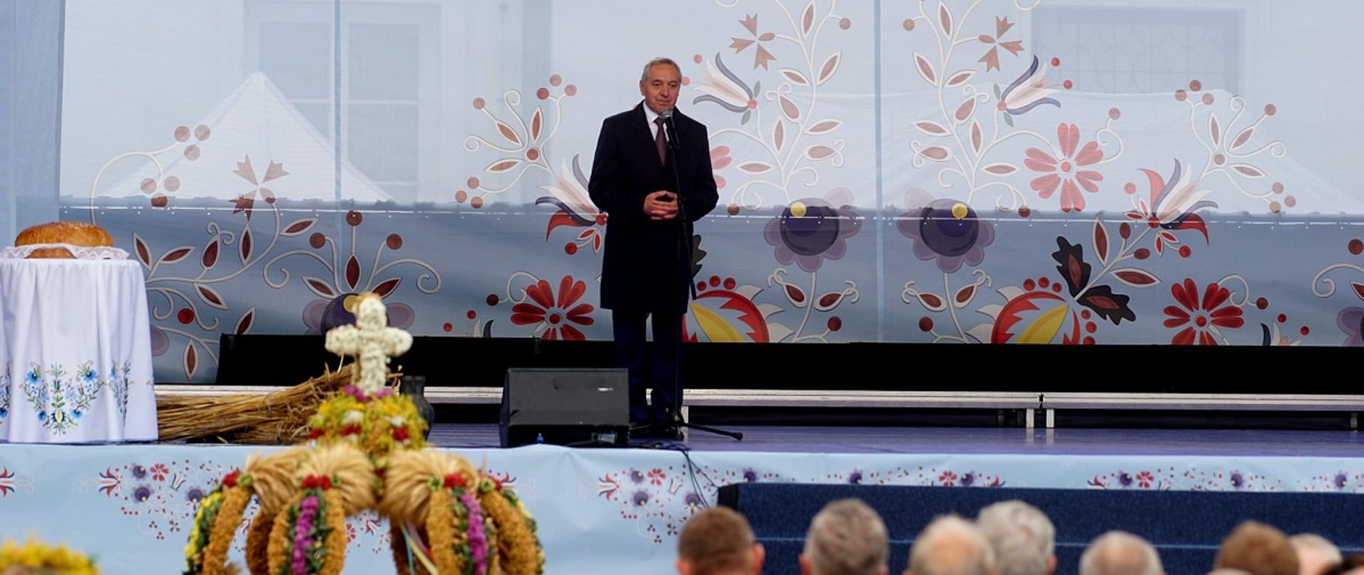 Wicepremier Henryk Kowalczyk podczas przemówienia