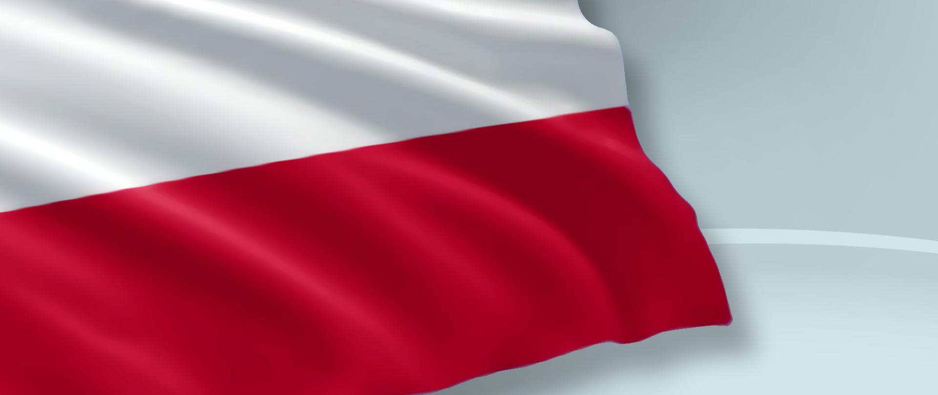 Dzień_Polonii_i_Dzień_Flagi