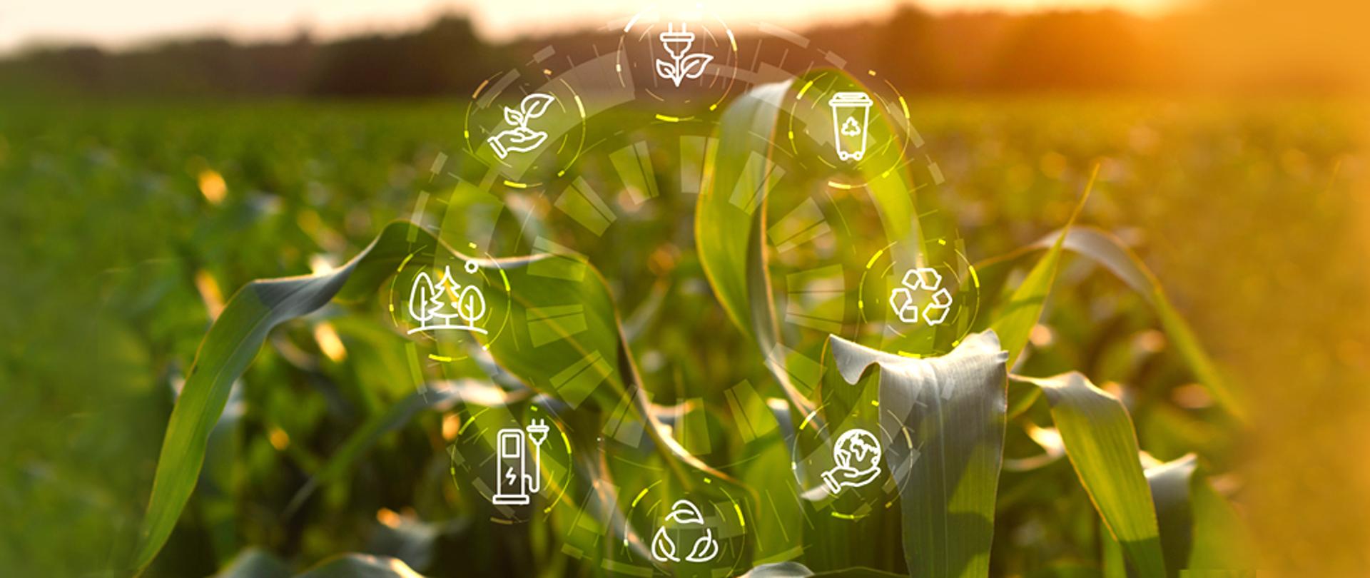 Biologiczna ochrona upraw