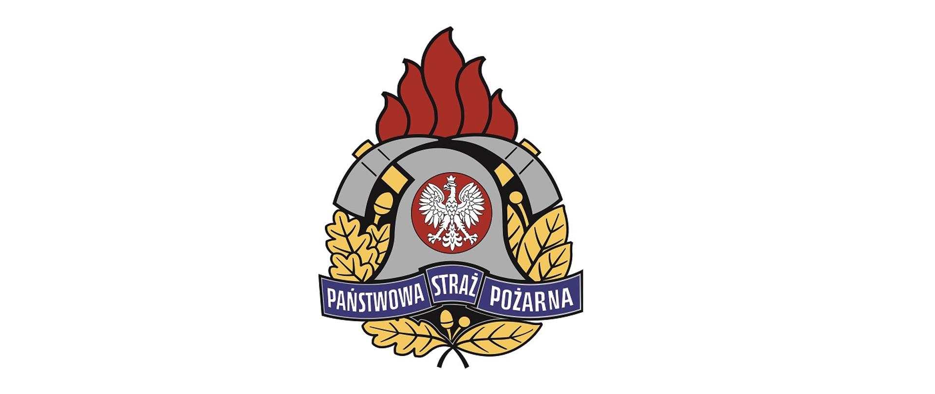 Logo składa się z kilku elementów połączonych ze sobą.Z czerwonego pięcioelementowego płomienia w górnej części logo. Z szarego hełmu w środkowej części logo, wewnątrz którego znajduje się biały orzeł wpisanym w koło o czerwonym tle. Z górnej strony po prawej i lewej stronie od hełmu znajdują się toporki strażackie o szarych ostrzach, których trzonki chowają się za hełmem. Po lewej stronie od hełmu są liście dębowe w kolorze blado-żółtym, po prawej stronie liście laurowe w kolorze blado żółtym. Poniżej na granatowej szarfie znajduje się biały napis Państwowa Straż Pożarna. Poniżej tego napisu na dole również znajduje się liść dębowy oraz liść laurowy, przy których znajdują się również nasiona tych roślin.