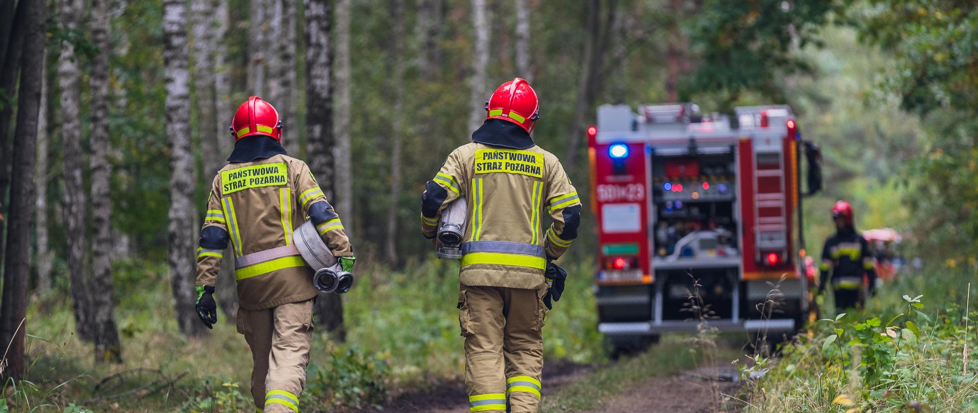 Na zdjęciu widoczny jest las. Drogą idą strażacy w ubraniach specjalnych, niosą węże pożarnicze. W tle czerwony samochód gaśniczy.