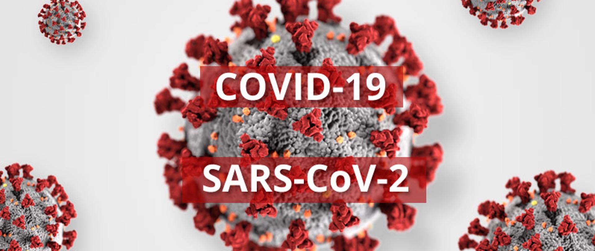 sars_cov_2