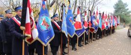 Poczty sztandarowe jednostek organizacyjnych Państwowej Straży Pożarnej stoją obok siebie.