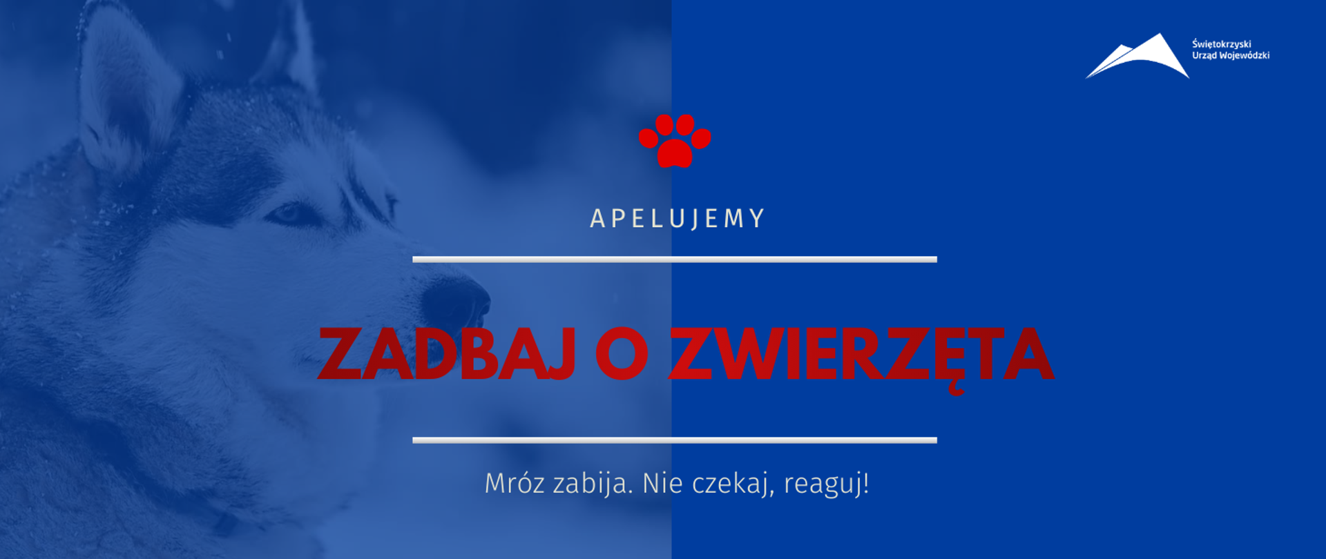 Zadbaj o zwierzęta
