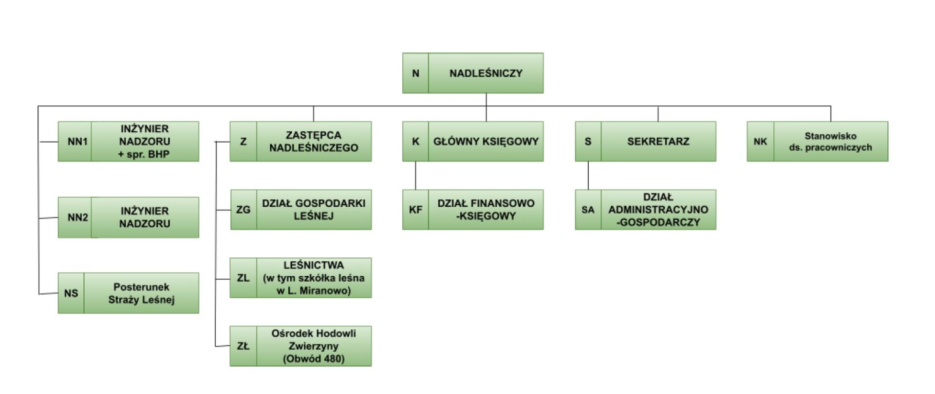 Schemat_Organizacyjny_Nadleśnictwa_Piaski_2026