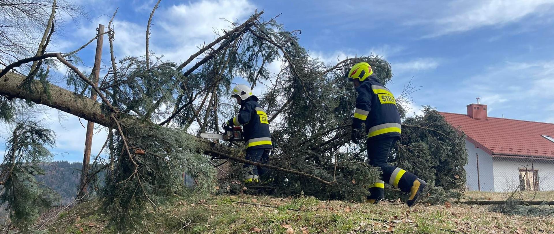 Strażacy usuwają powalone drzewo