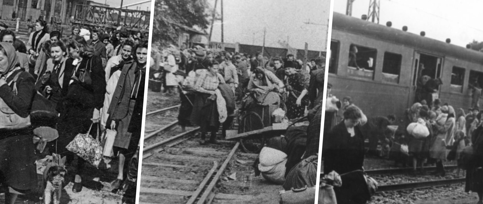 Kolaż zdjęć z obozu Dulag 121 / fot. dulag121.pl