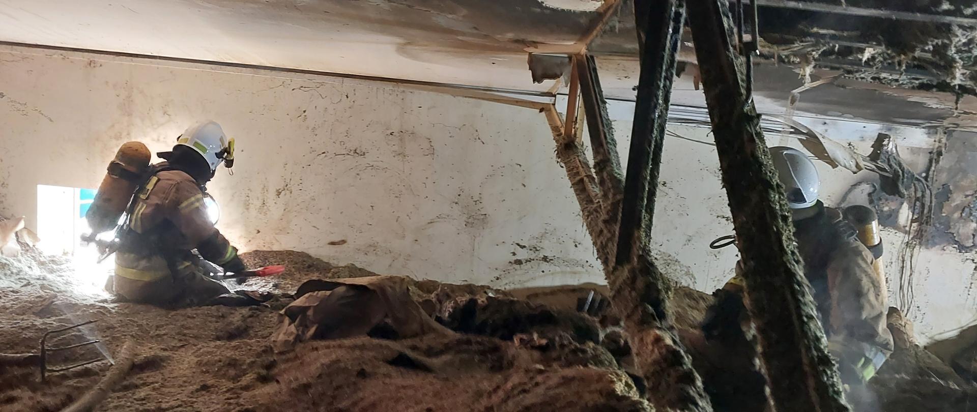 Strażak ratownik prowadzi działania gaśnicze wewnątrz budynku.