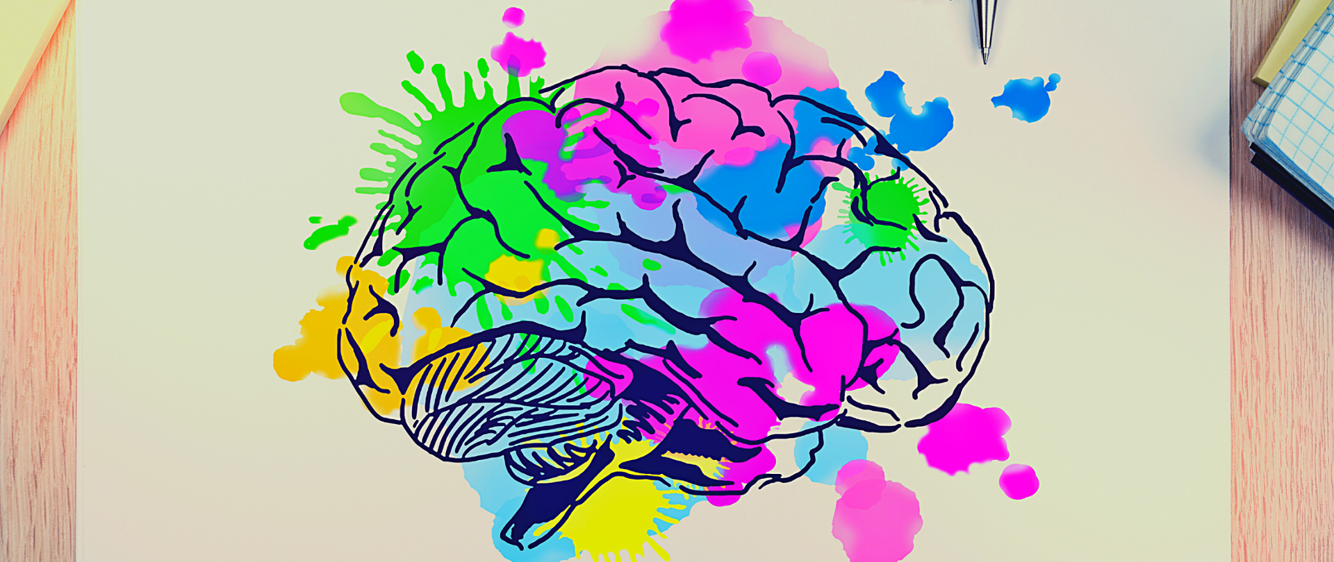 Rysunek na kartce - ludzki mózg. Poszczególne części pokolorowane w różnych kolorach - błękitnym, różowym, żółtym, zielonym.