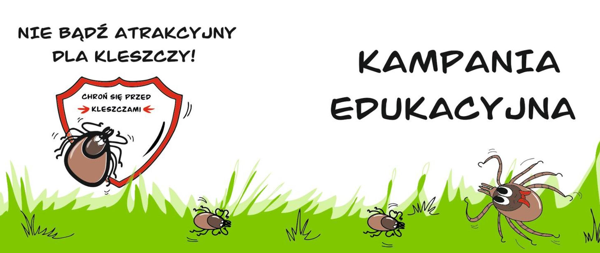 Nie bądź atrakcyjny dla kleszczy