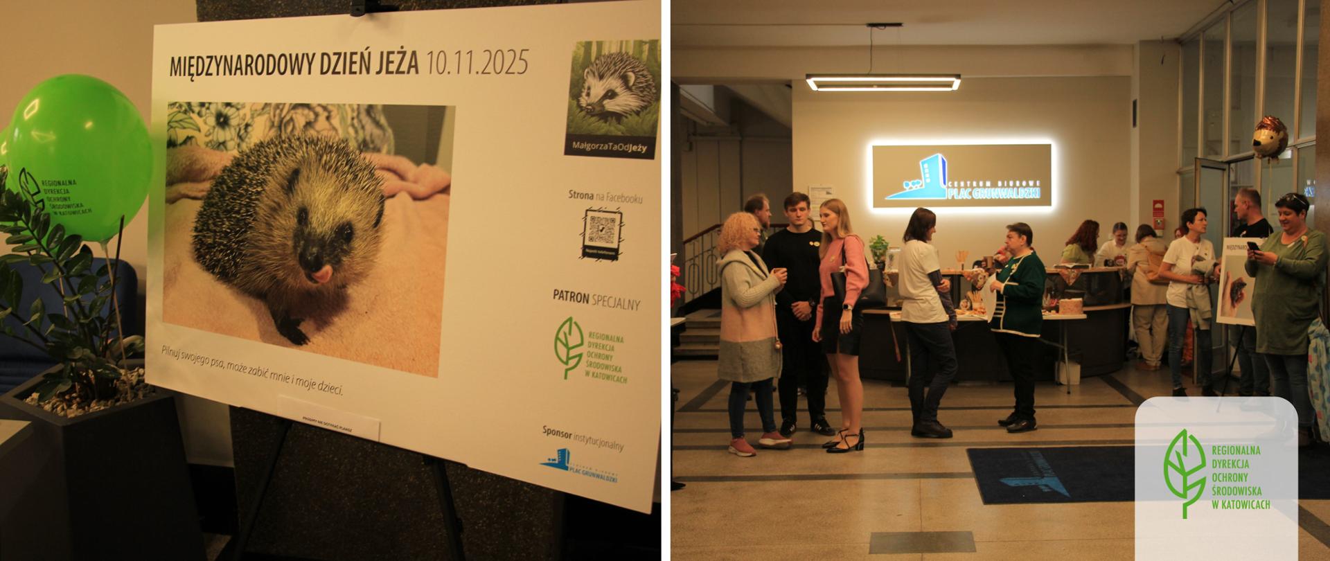 Dzień Jeża - panorama www