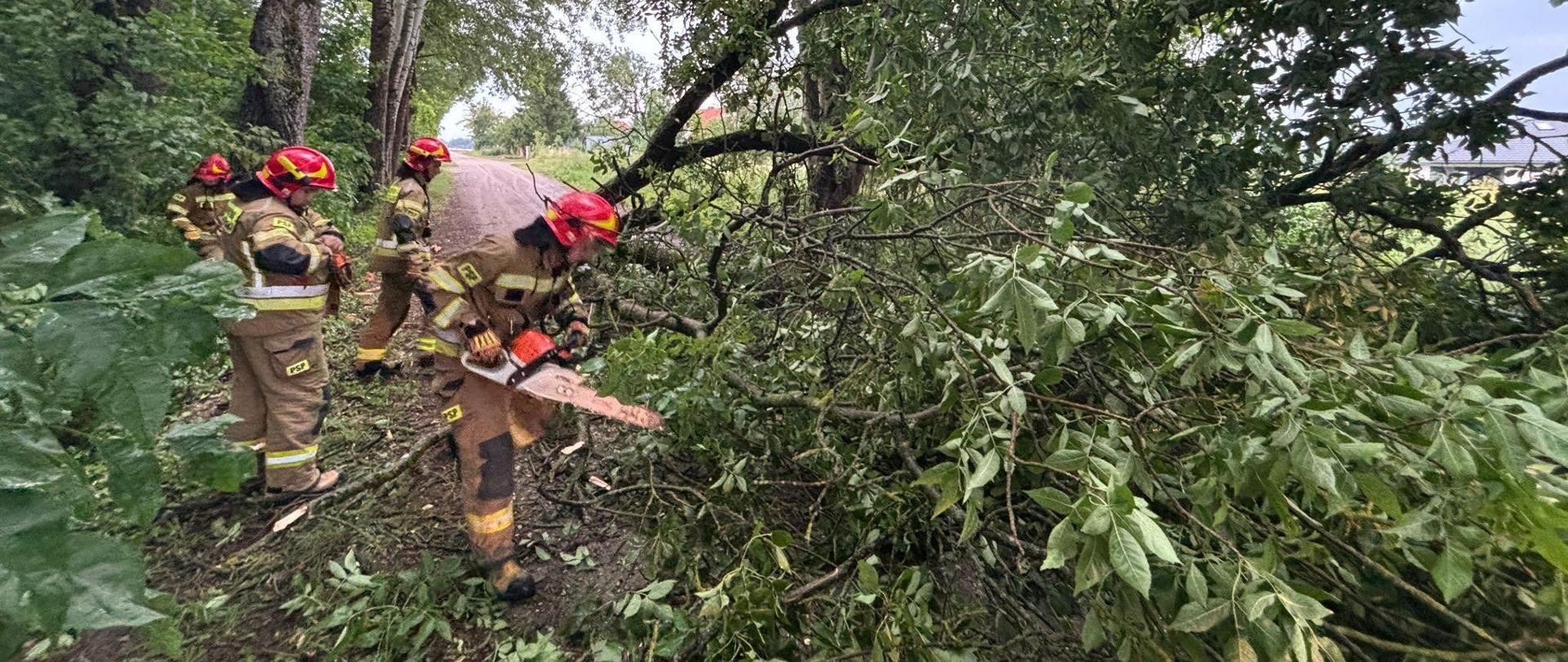 Czterech strażaków pracuje przy usuwaniu połamanego drzewa z drogi. Jeden z nich tnie piłą połamane konary.