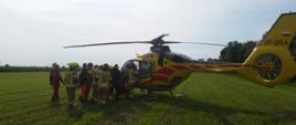Na pomoc choremu. Na polu znajduje się śmigłowiec Lotniczego Pogotowia Ratunkowego. Strażacy wspólnie z załogą maszyny transportują do niej chorego mężczyznę. W tle pole kukurydzy oraz drzewa. 