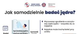 instrukcja badania jąder