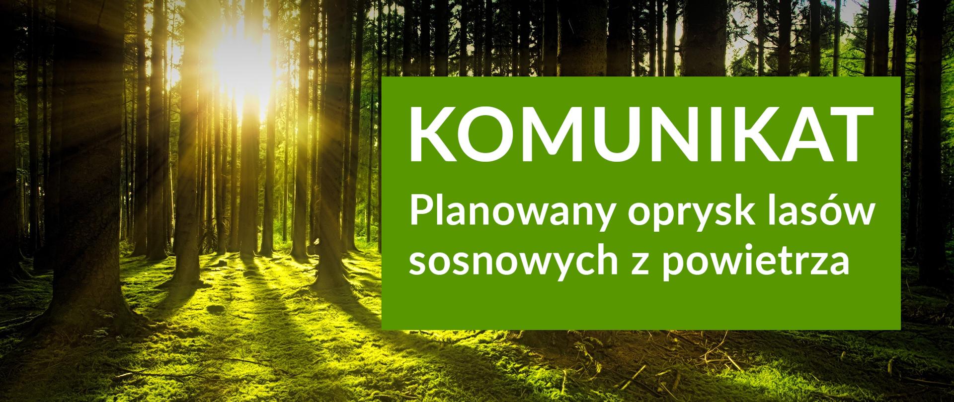 KOMUNIKAT planowany oprysk lasów sosnowych z powietrza