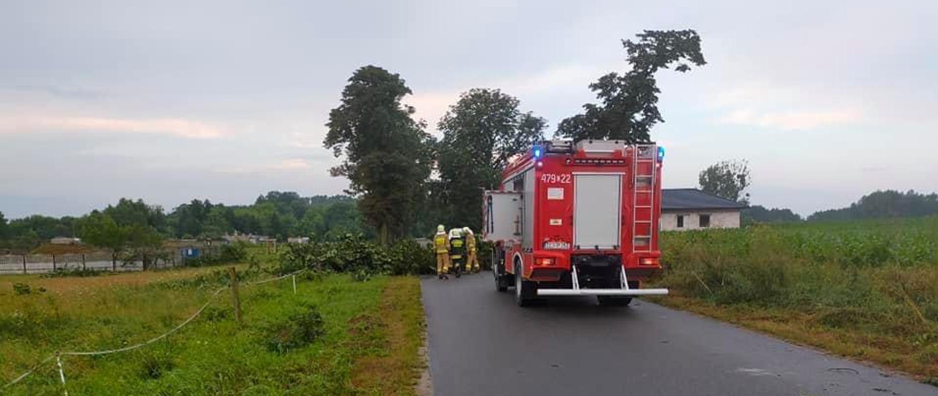 Interwencje lipnowskich strażaków w związku z frontem burzowym