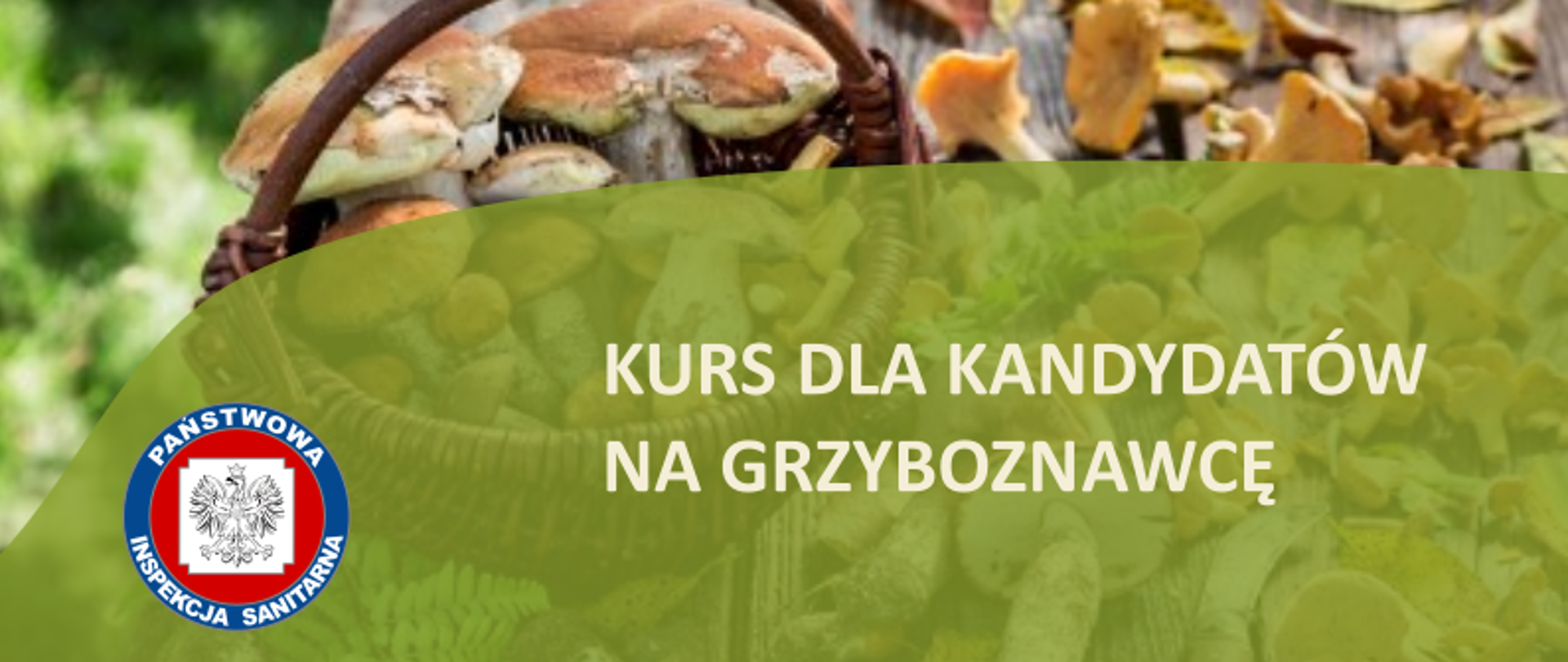Kurs dla kandydatów na grzyboznawcę - plakat informacyjny